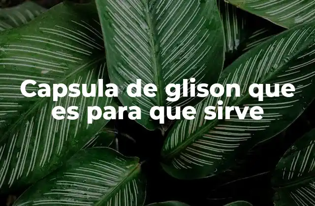 Capsula de Glison que es para que Sirve