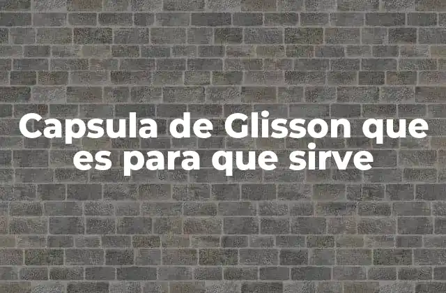 Capsula de Glisson que es para que Sirve