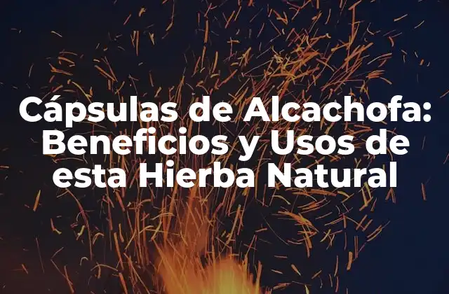 Cápsulas de Alcachofa: Beneficios y Usos de Esta Hierba Natural