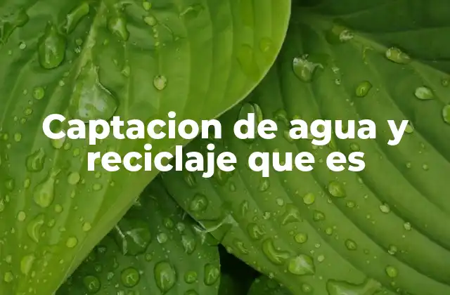 Captacion de Agua y Reciclaje que es