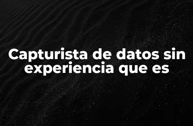 Capturista de Datos sin Experiencia que es