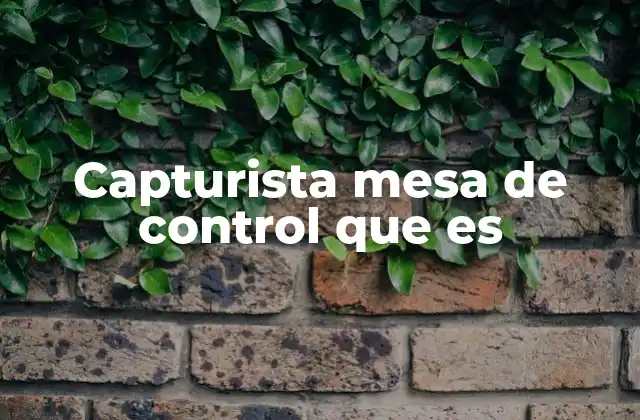 Capturista Mesa de Control que es