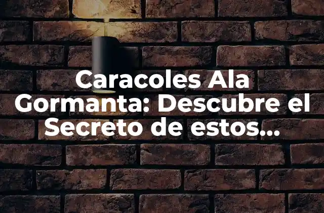 Caracoles Ala Gormanta: Descubre el Secreto de Estos Deliciosos Moluscos