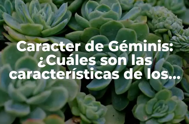 Caracter de Géminis: ¿cuáles Son las Características de los Géminis? 2 La Curiosidad y la Versatilidad: Los Rasgos de Personalidad más Destacados de los Géminis