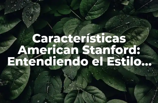 Características American Stanford: Entendiendo el Estilo de Vida Estadounidense