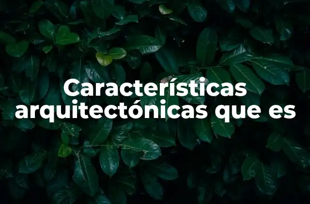Características Arquitectónicas que es