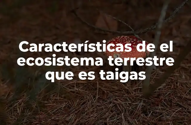Características de el Ecosistema Terrestre que es Taigas
