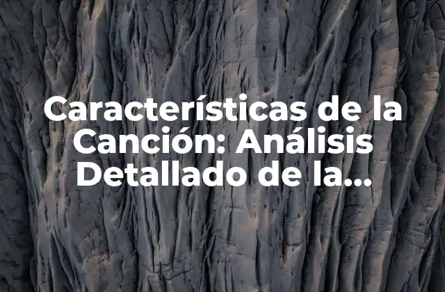 Características de la Canción: Análisis Detallado de la Estructura y Estilos Musicales