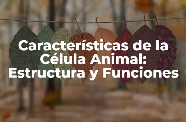Estructura de la Célula Animal