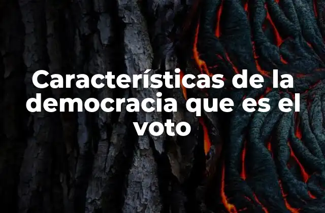 Características de la Democracia que es el Voto