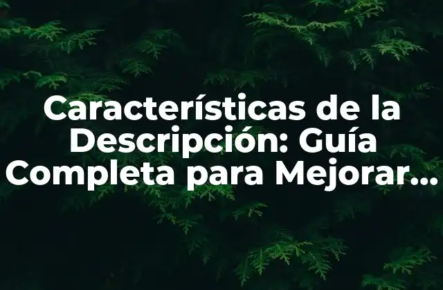 Características de la Descripción: Guía Completa para Mejorar Tu Escritura