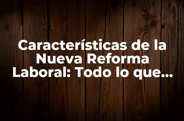 Características de la Nueva Reforma Laboral: Todo Lo que Necesitas Saber