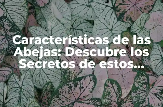 Características de las Abejas: Descubre los Secretos de Estos Insectos Fascinantes