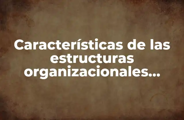 Características de las Estructuras Organizacionales Horizontales que es