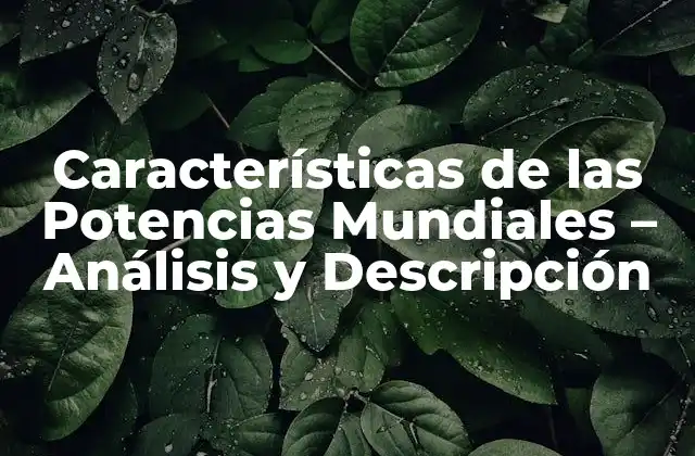 Características de las Potencias Mundiales – Análisis y Descripción