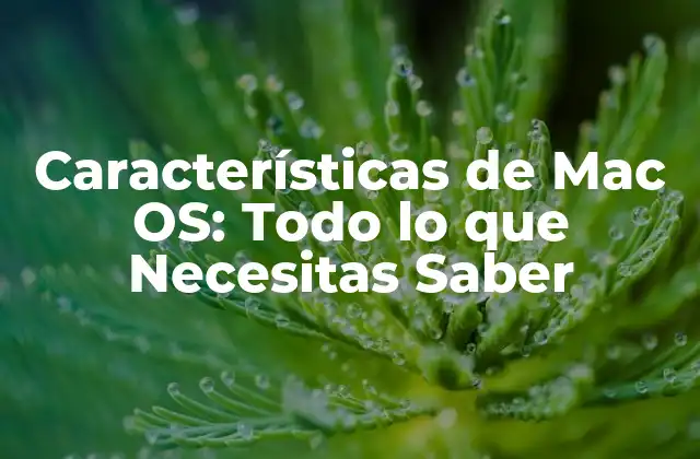 Características de Mac Os: Todo Lo que Necesitas Saber