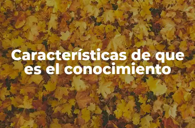 Características de que es el Conocimiento