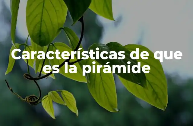 Características de que es la Pirámide