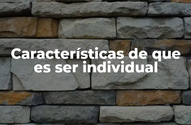 Características de que es Ser Individual