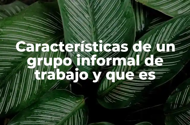 Características de un Grupo Informal de Trabajo y que es