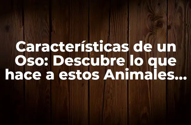 Características de un Oso: Descubre Lo que Hace a Estos Animales Tan Especiales