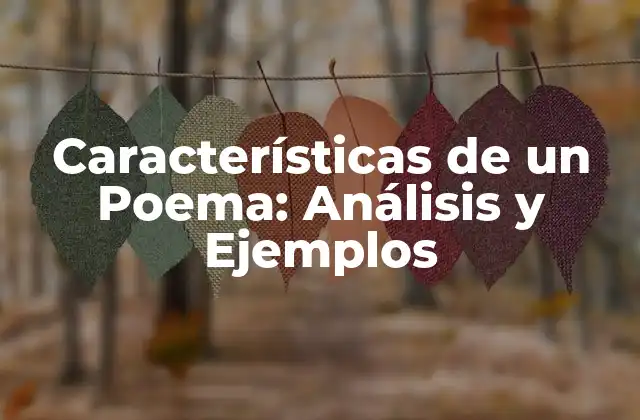 Características de un Poema: Análisis y Ejemplos