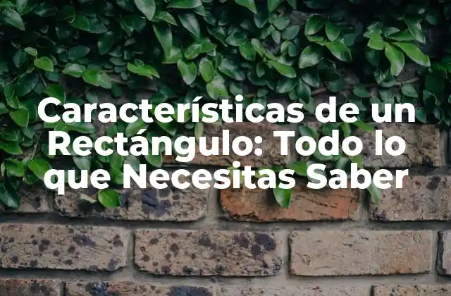 Características de un Rectángulo: Todo Lo que Necesitas Saber