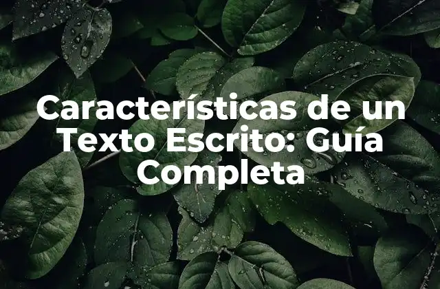Características de un Texto Escrito: Guía Completa