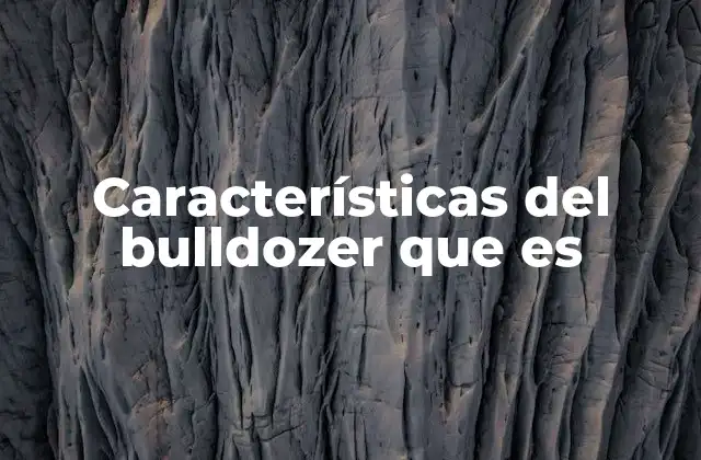 Características Del Bulldozer que es
