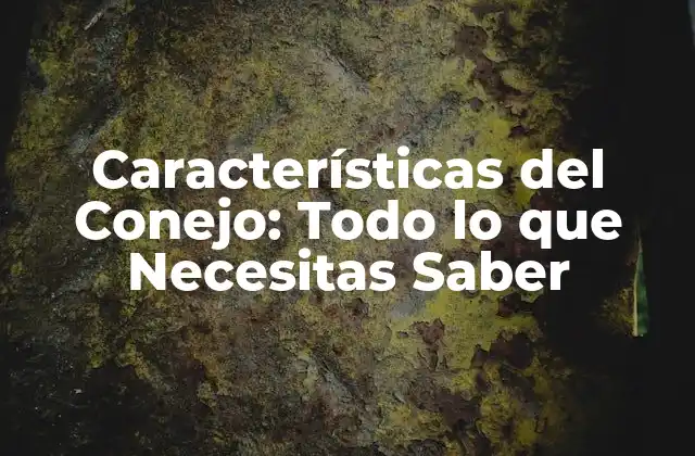 Características Del Conejo: Todo Lo que Necesitas Saber