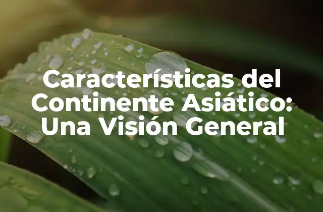 Características Del Continente Asiático: una Visión General