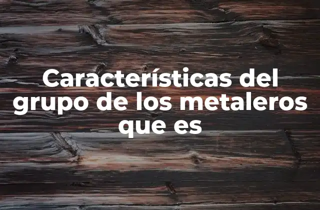 Características Del Grupo de los Metaleros que es