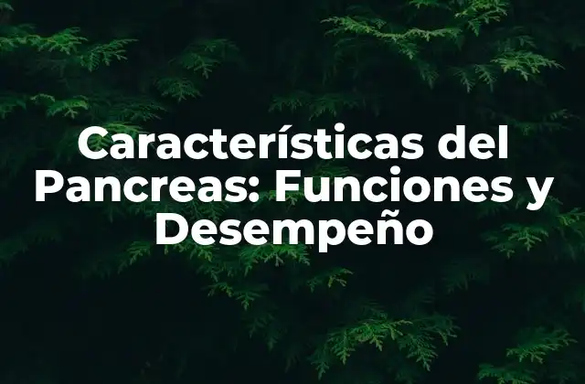 Características Del Pancreas: Funciones y Desempeño