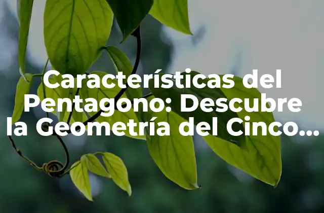Características Del Pentagono: Descubre la Geometría Del Cinco Lados