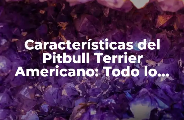 Características Del Pitbull Terrier Americano: Todo Lo que Debes Saber