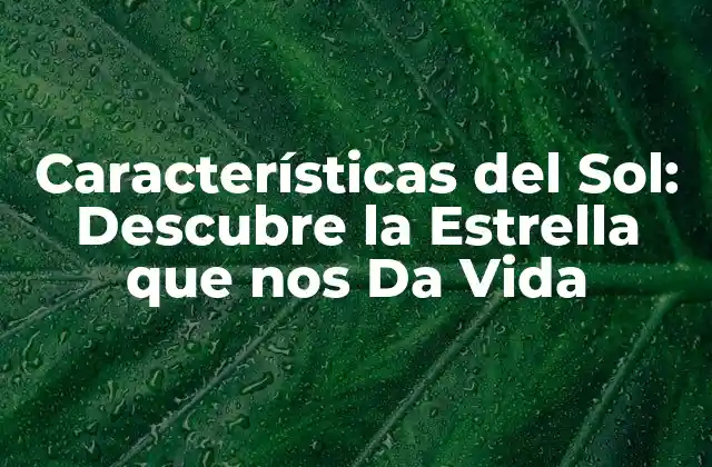 Características Del Sol: Descubre la Estrella que Nos Da Vida