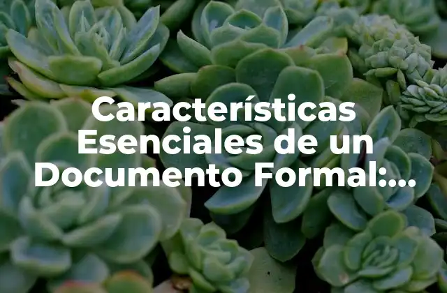 Características Esenciales de un Documento Formal: Guía Completa