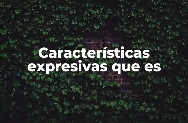 Características Expresivas que es