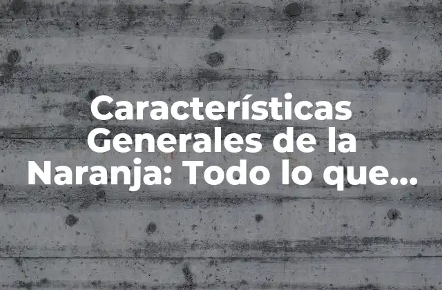Características Generales de la Naranja: Todo Lo que Necesitas Saber
