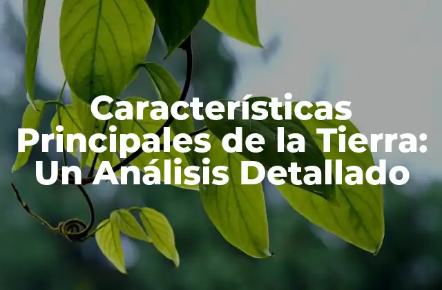 Características Principales de la Tierra: un Análisis Detallado