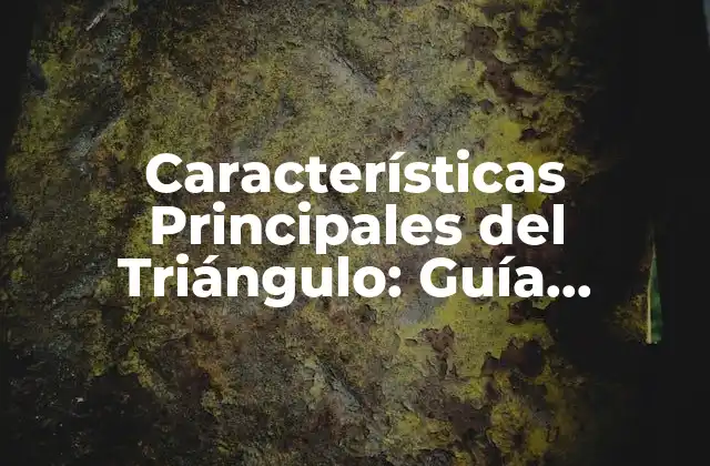 Características Principales Del Triángulo: Guía Completa y Detallada