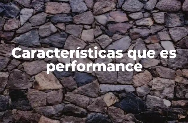 Características que es Performance