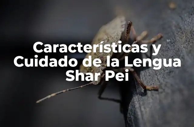 Características y Cuidado de la Lengua Shar Pei