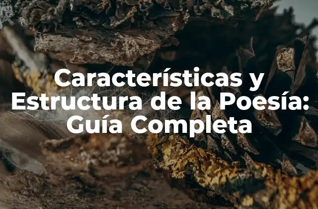 Elementos Básicos de la Poesía