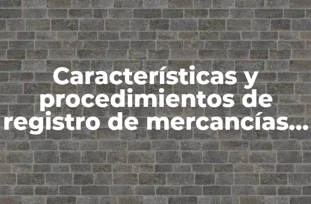 Características y Procedimientos de Registro de Mercancías que es