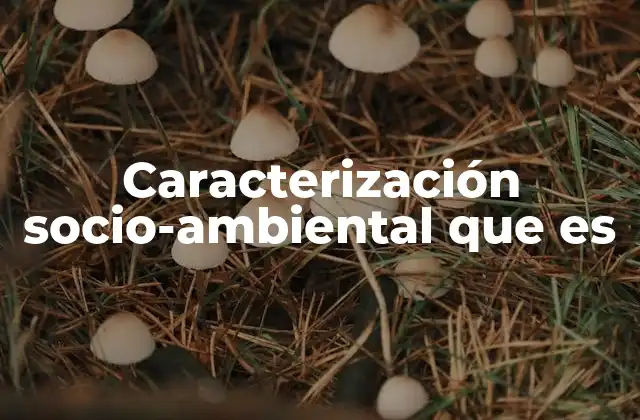 Caracterización Socio-ambiental que es