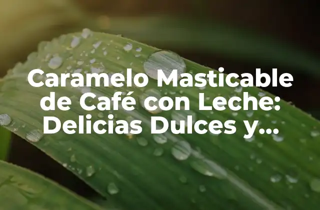Caramelo Masticable de Café con Leche: Delicias Dulces y Energizantes