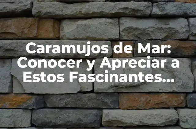 Caramujos de Mar: Conocer y Apreciar a Estos Fascinantes Moluscos 2 Anatomía y Fisiología de los Caramujos de Mar