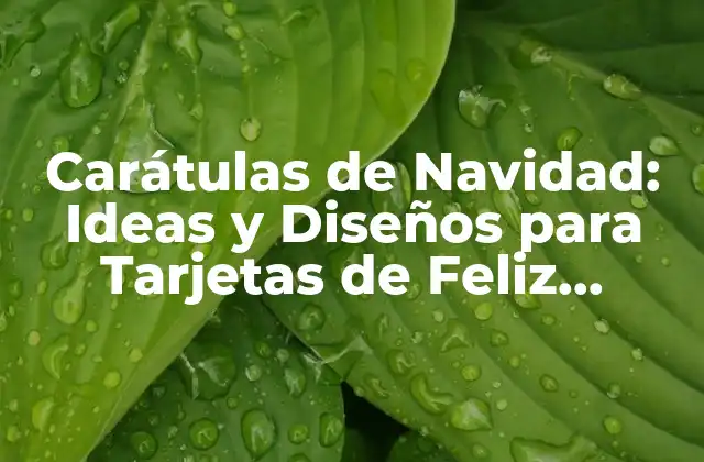 Carátulas de Navidad: Ideas y Diseños para Tarjetas de Feliz Navidad