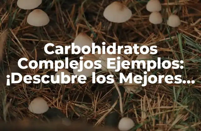 Carbohidratos Complejos Ejemplos: ¡descubre los Mejores Alimentos para una Dieta Equilibrada!